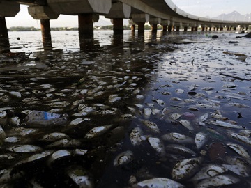 ＜リオ五輪でセーリング会場となるグアナバラ湾は、深刻な水質汚染が懸念されている＞