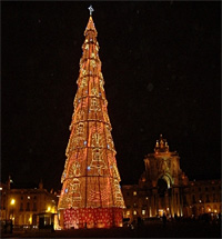 ヨーロッパ一大きいポルトのクリスマスツリー